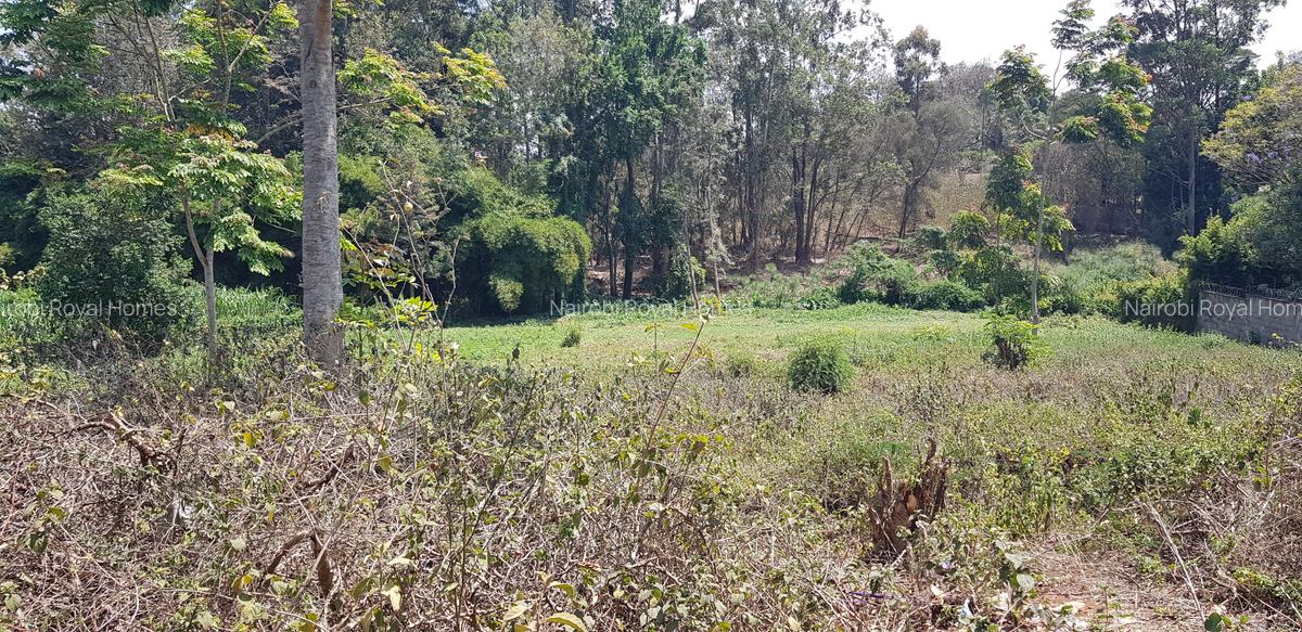 Residential Land at Flem Tree Off Ruaka Road - 2