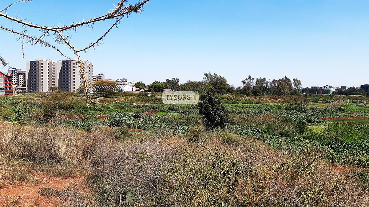 18.5 ac Commercial Land in Kasarani - 1