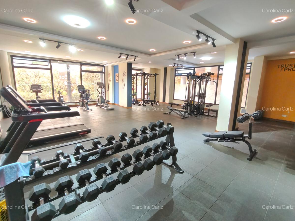 4 Bed Apartment with En Suite at Spring Valley Off Lower Kabete Road - 4