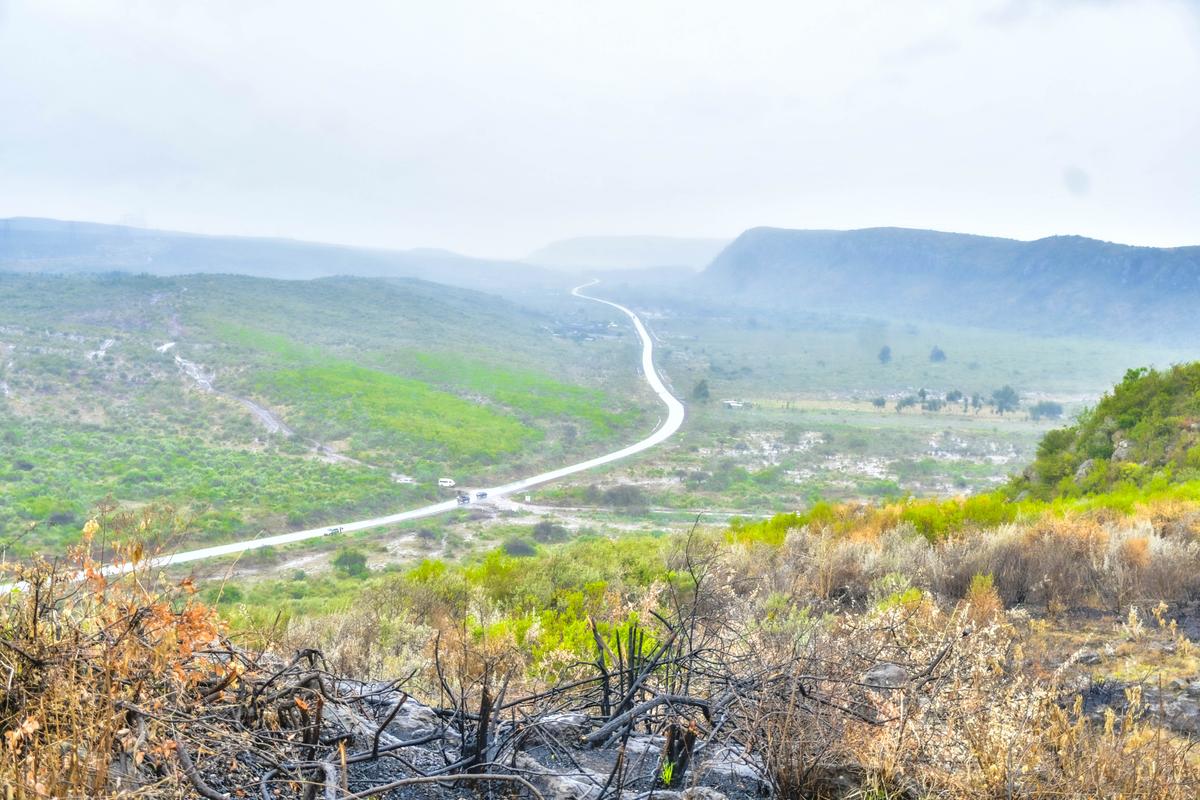 Land at Nachu - 1