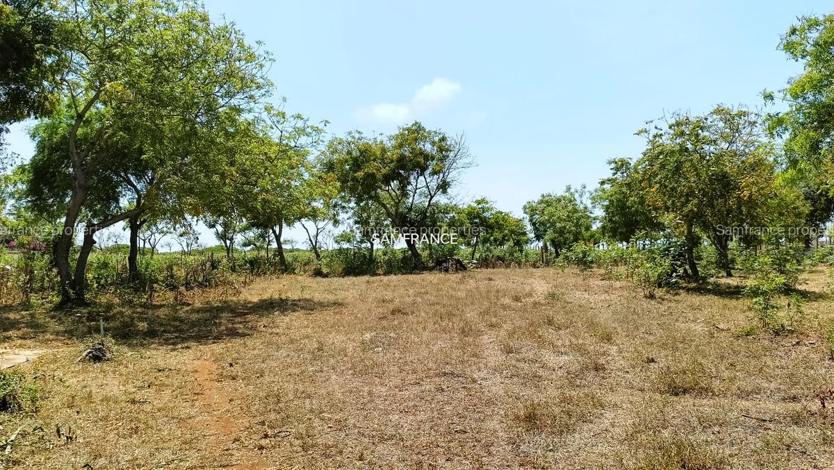 2 ac Residential Land at Kilifi Bofa - 3