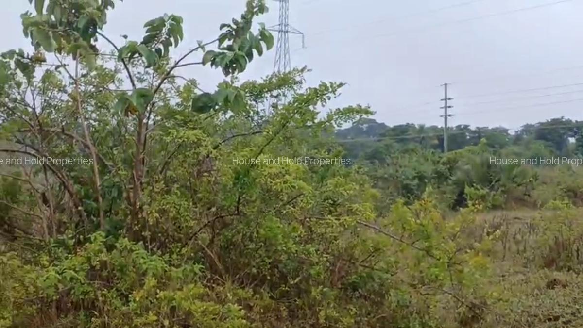 2.8 ha Commercial Land at Tiwi - 6