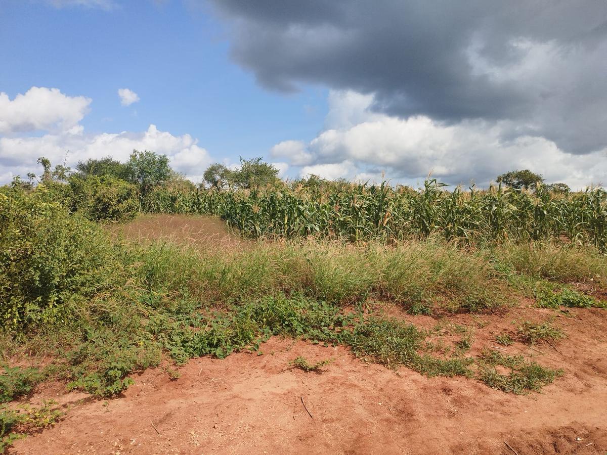 2 ha Land at Malindi -Lamu Highway - 2