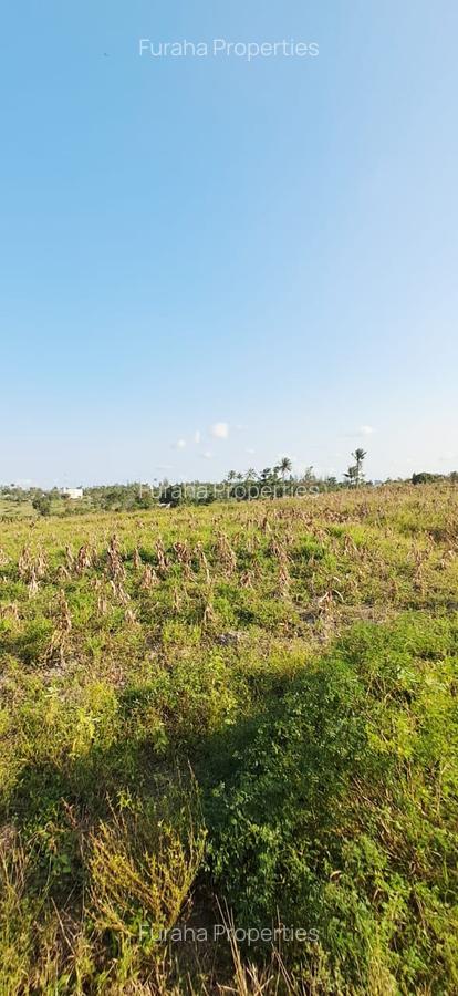 Land in Kilifi - 3