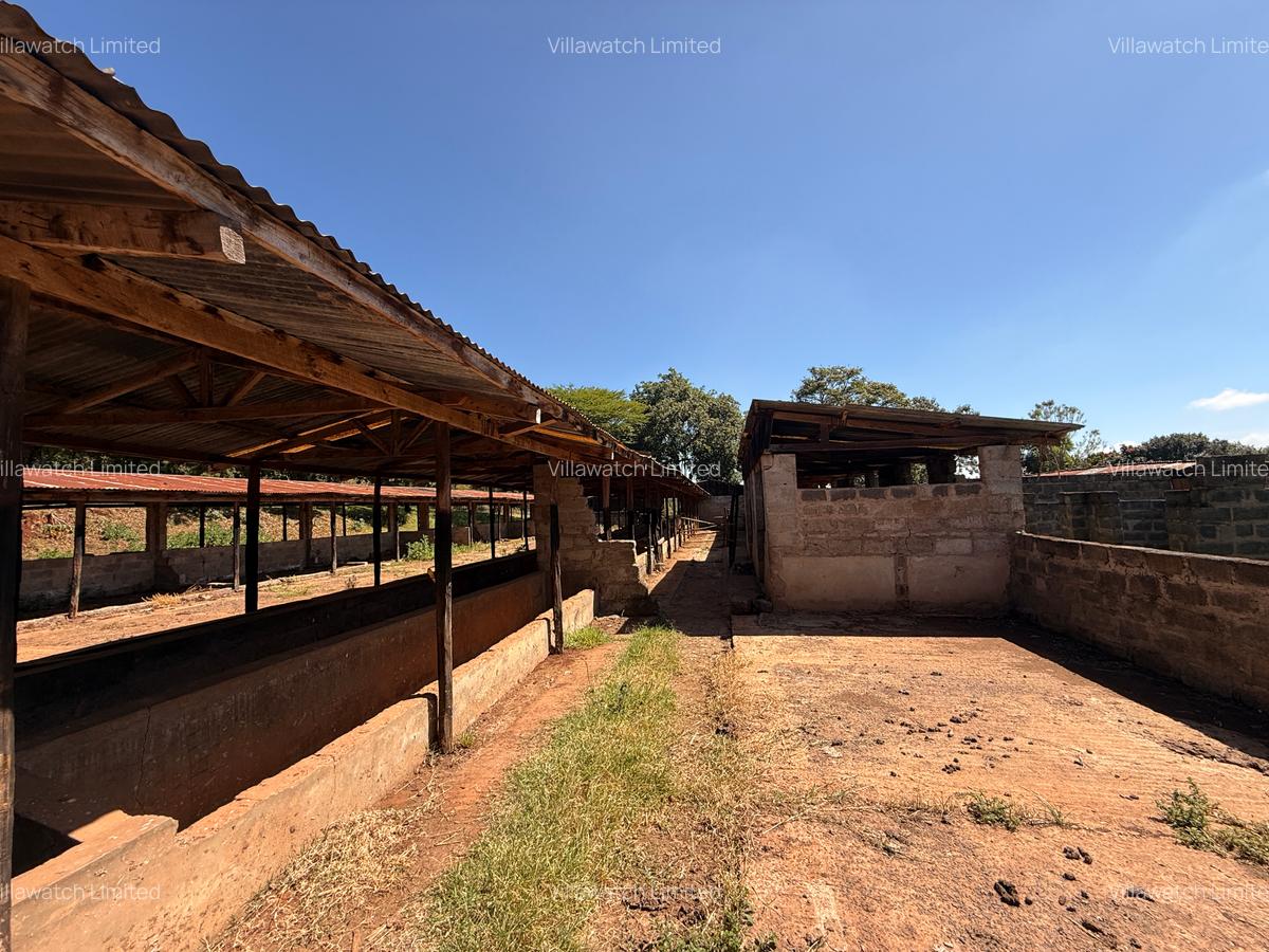 3 Bed House with En Suite in Tigoni - 11