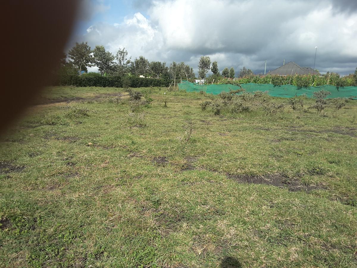 0.1 ha Residential Land in Ongata Rongai - 4