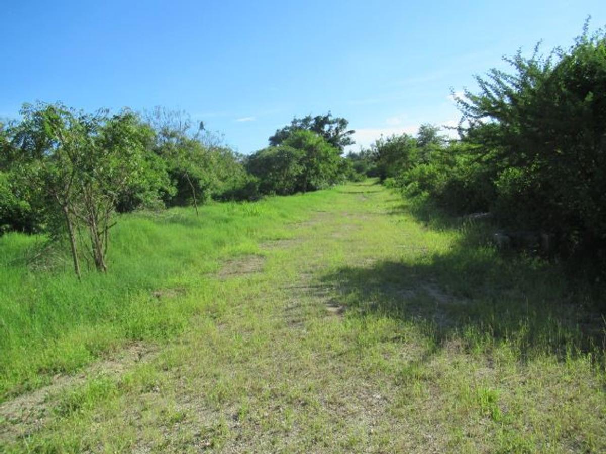 506 m² Residential Land at Malindi Road - 7