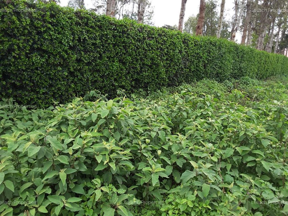 0.25 ac Residential Land in Ngong - 5