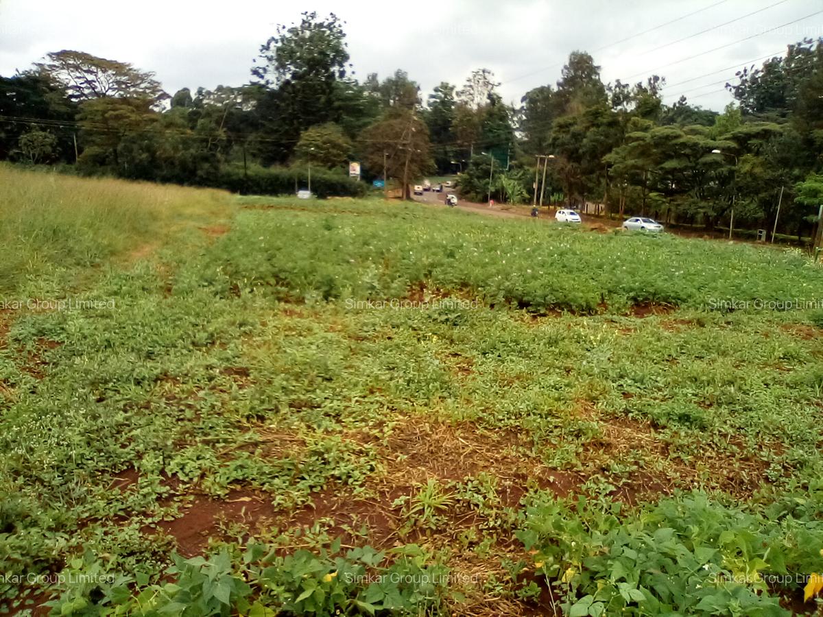 Commercial Property at Red Hill Rd - 5