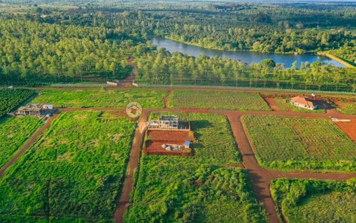 0.125 ac Land at Tatu City - 1