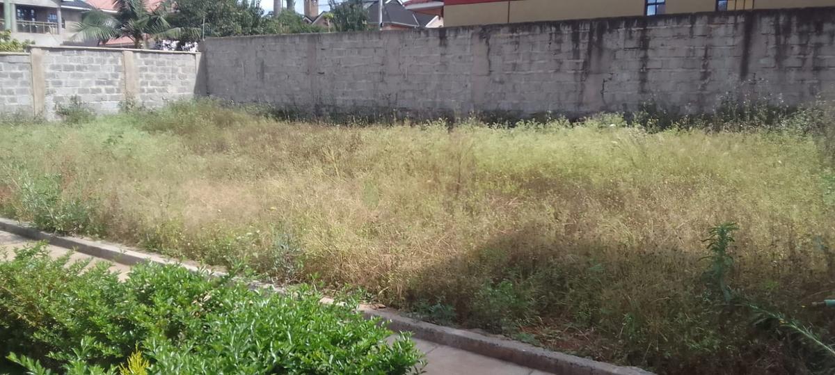 0.3 ha Residential Land in Kenyatta Road - 1