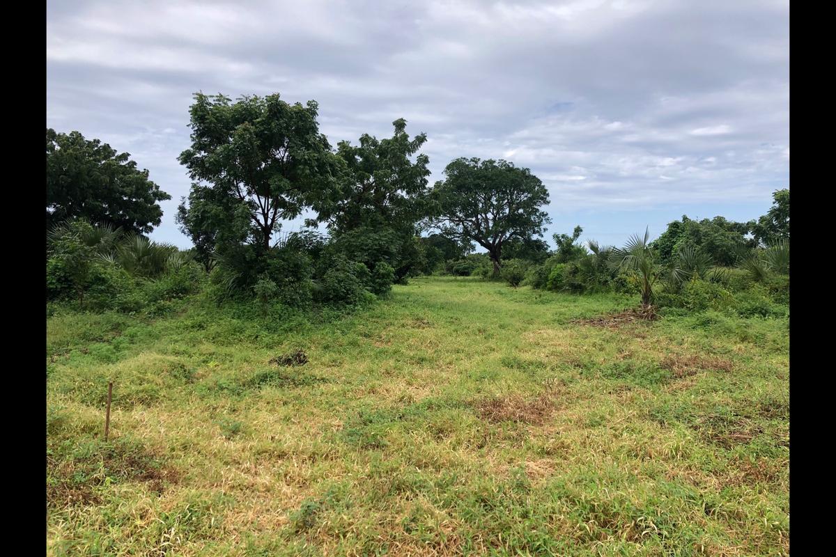 Residential Land in Vipingo - 9