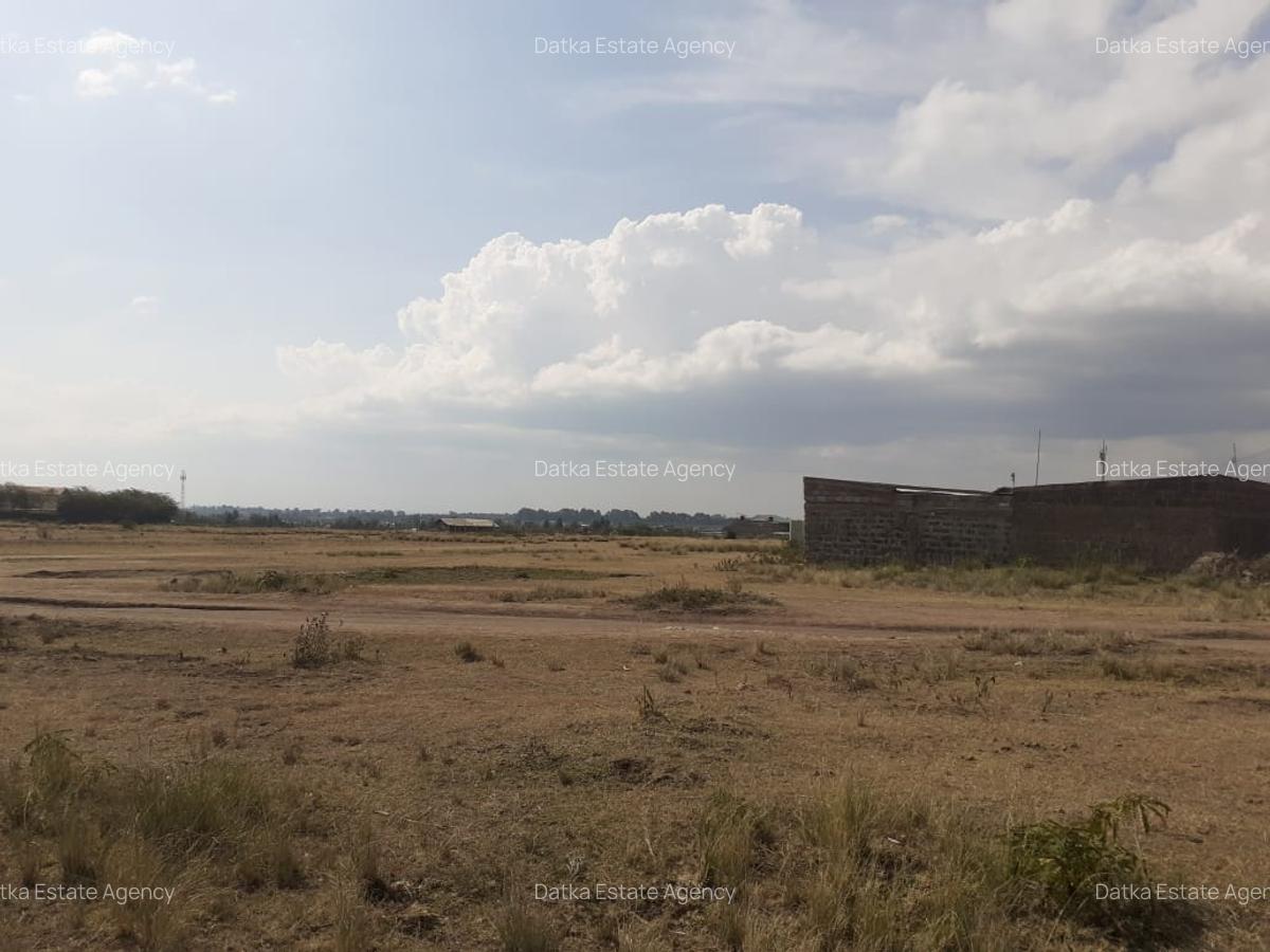0.125 ac Land in Nanyuki - 14