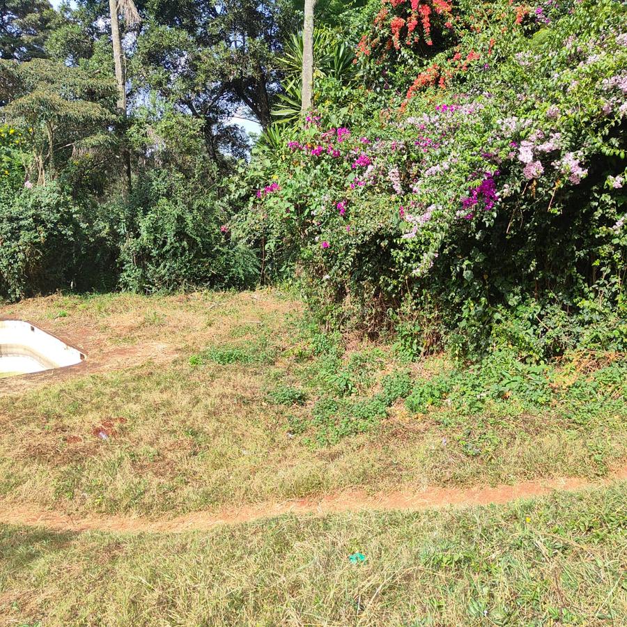 4.1 ac Land at Farasi Lane - 9