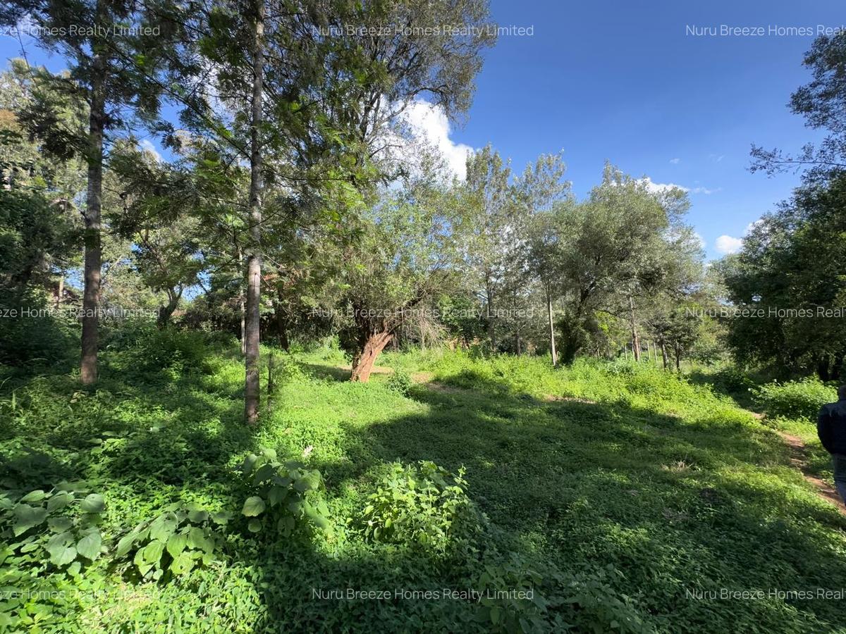 0.5 ac Land in Lake View - 1