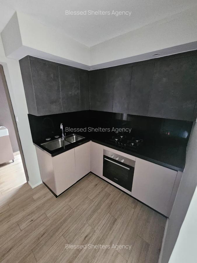 Serviced 2 Bed Apartment with En Suite in Nyari - 20