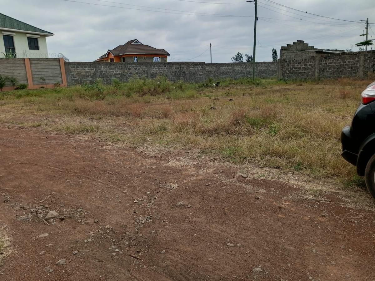 0.125 ac Residential Land at Kamakis - 4