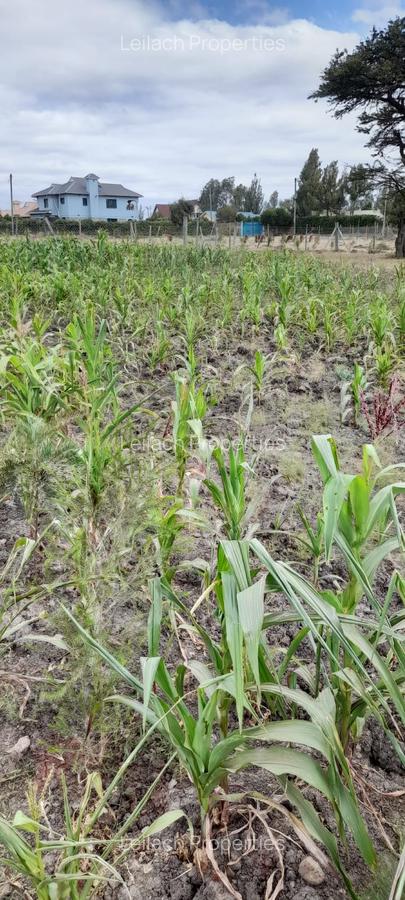 0.113 ac Residential Land in Ongata Rongai - 9