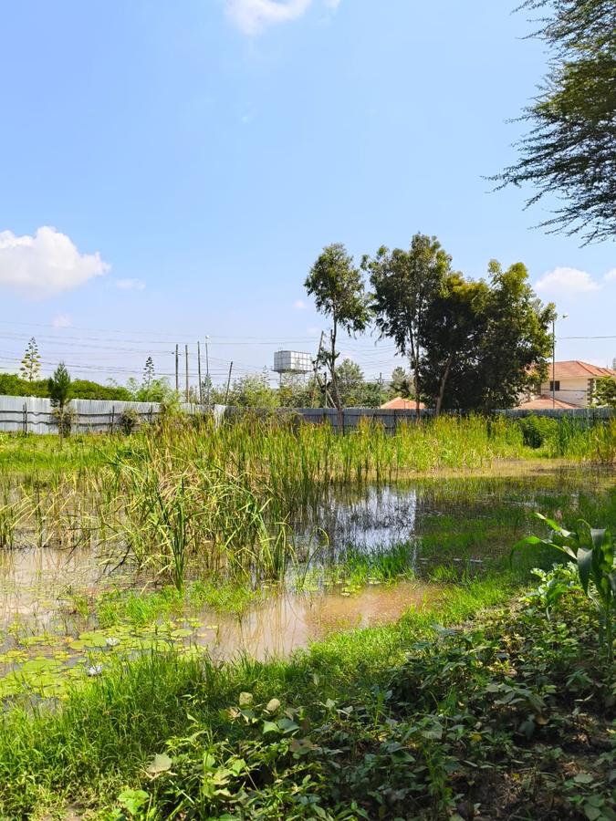 Residential Land at Karen - 19