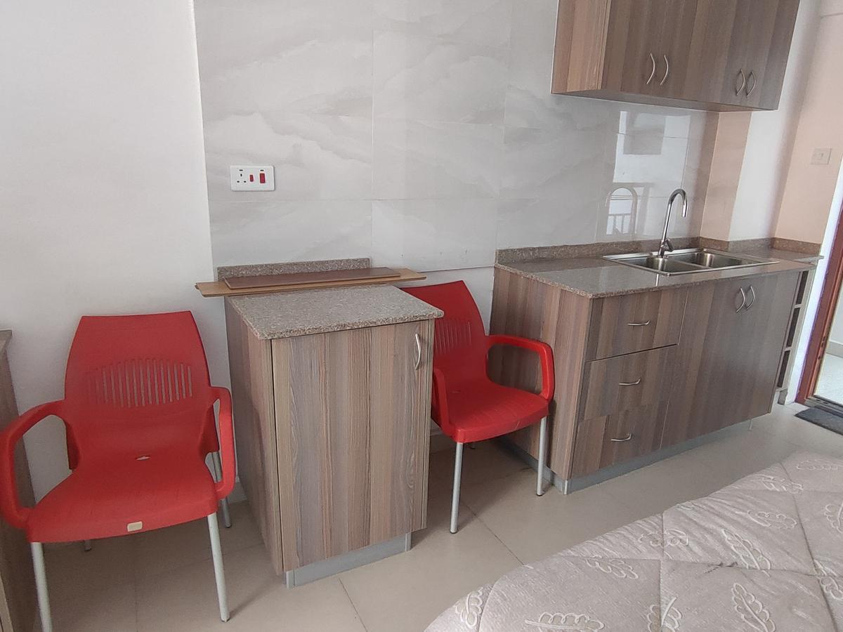 Studio Apartment with En Suite in Nairobi West - 10