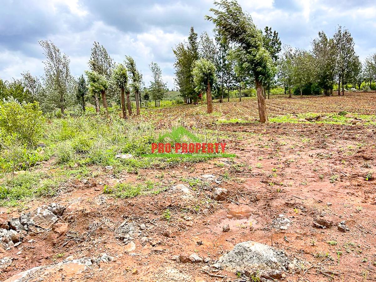 5 ac Land at Lusigetti - 9