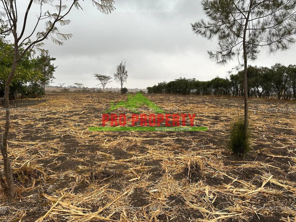 430 m² Residential Land at Kyumvi - 11