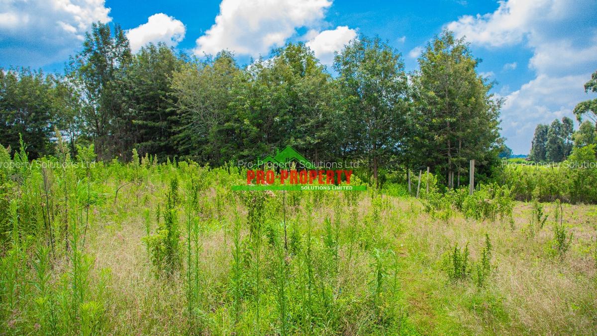 0.05 ha Residential Land at Ng'Amba - 4