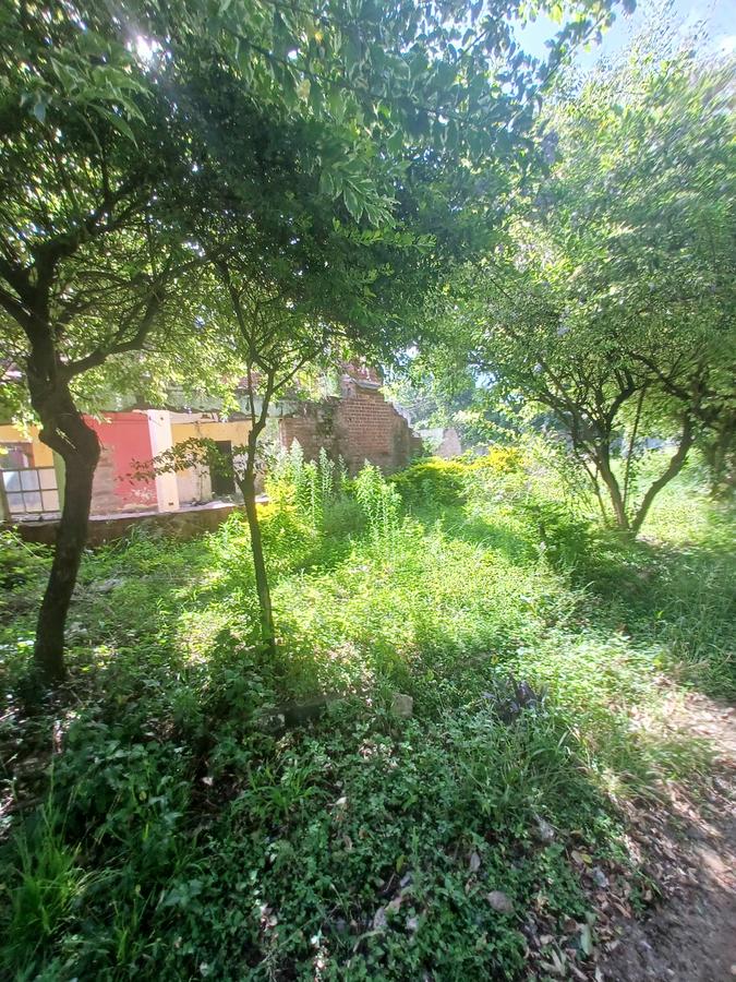 1.347 ac Land in Riara Road - 11