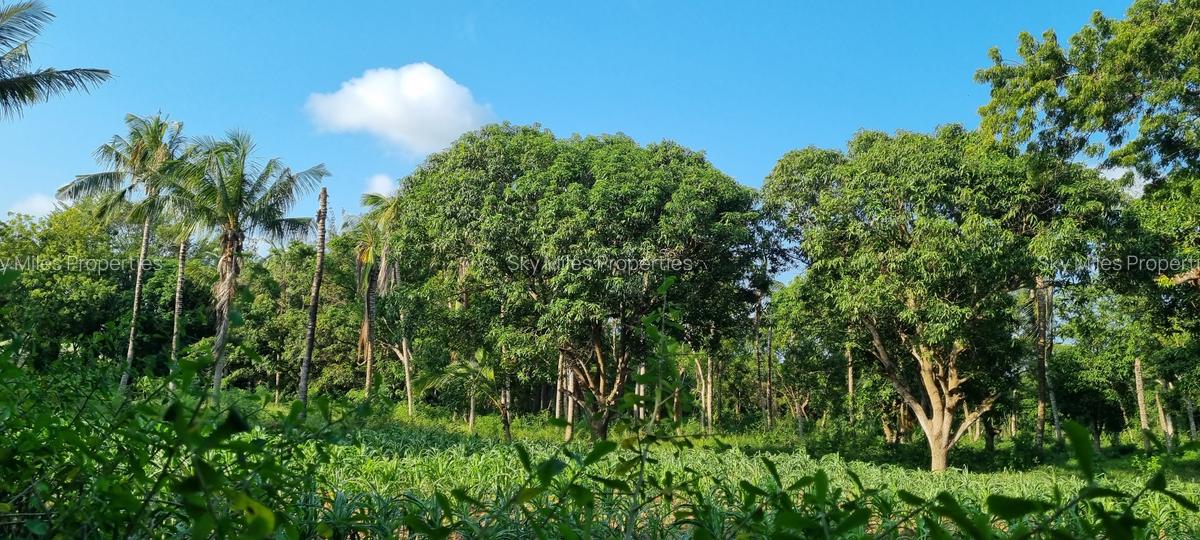 1 ac Land at Mtwapa - 9