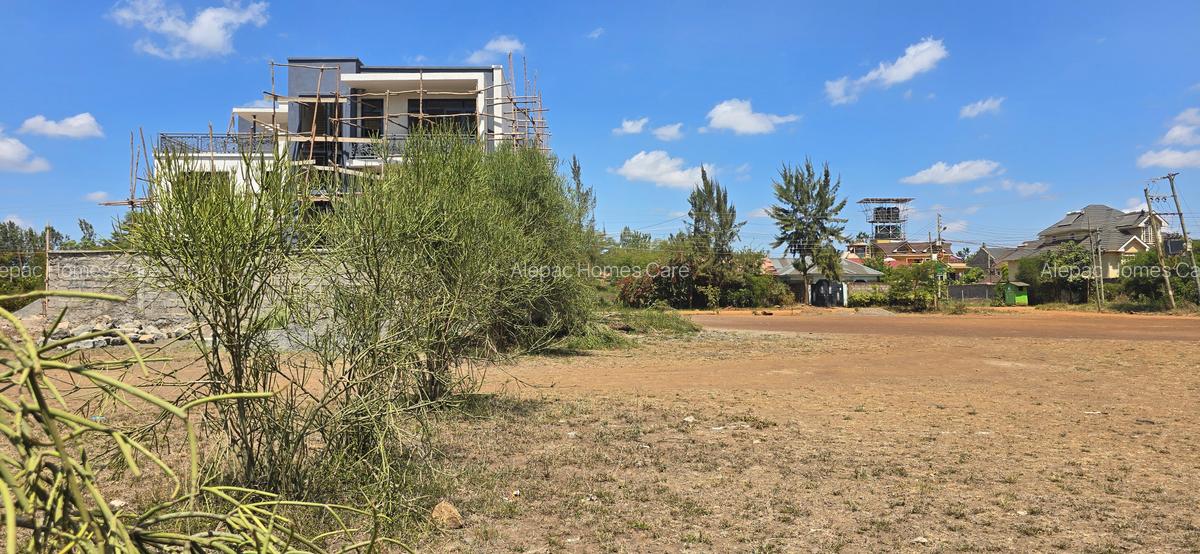 0.25 ac Land at Kamakis - 5