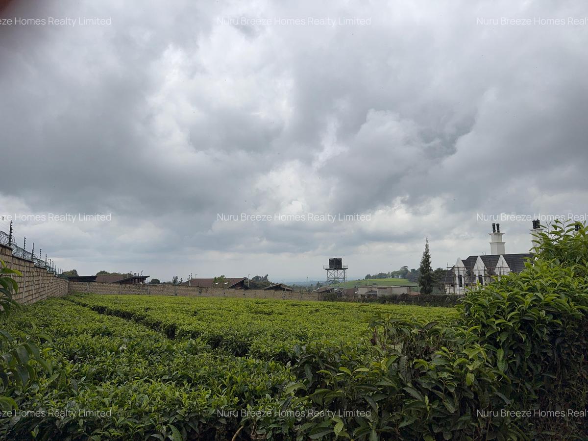 1 ac Land in Tigoni - 1