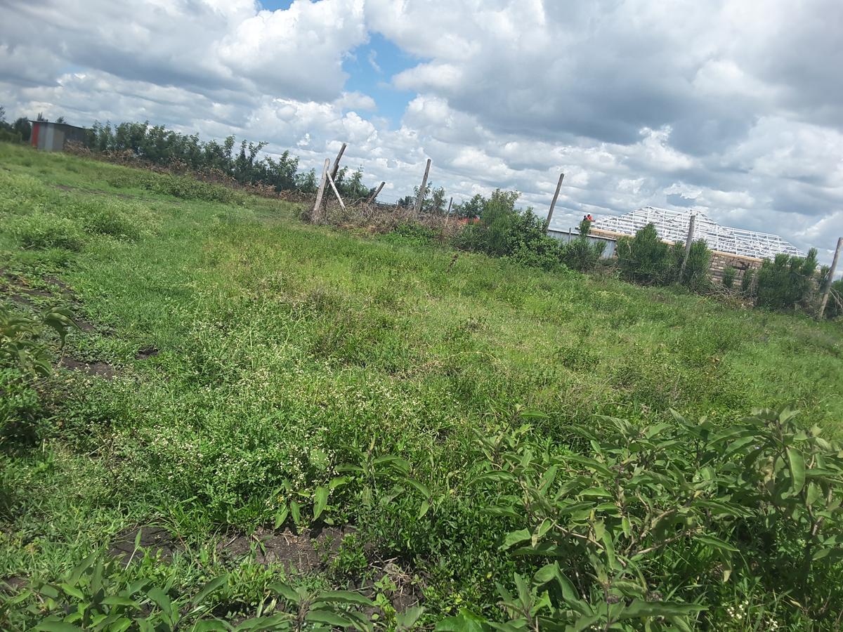 0.1 ha Residential Land in Ongata Rongai - 13