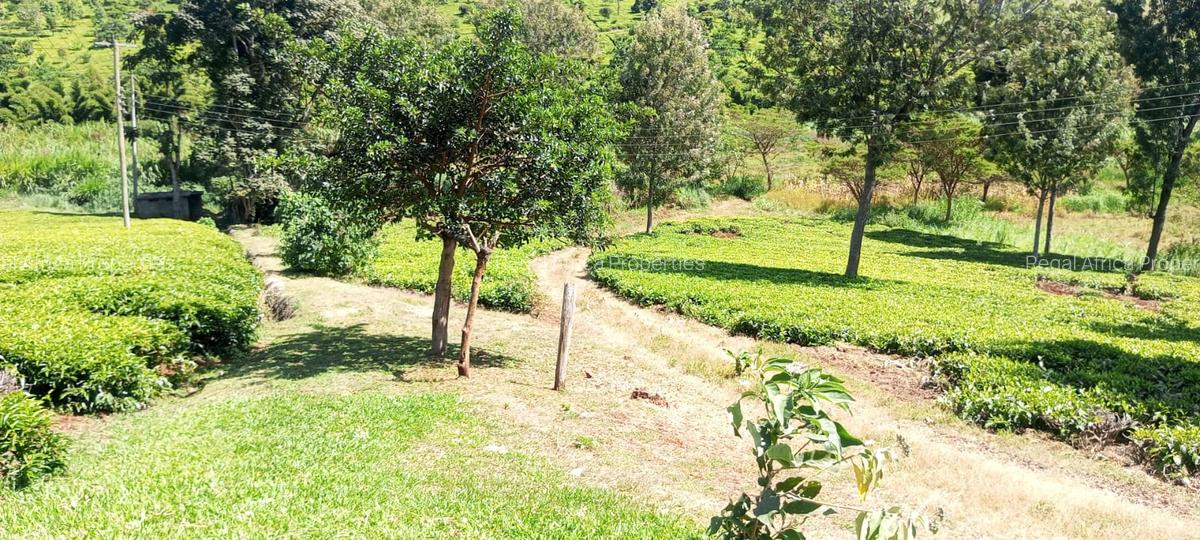 2 ac Land at Redhill-Kentmere Rd - 3