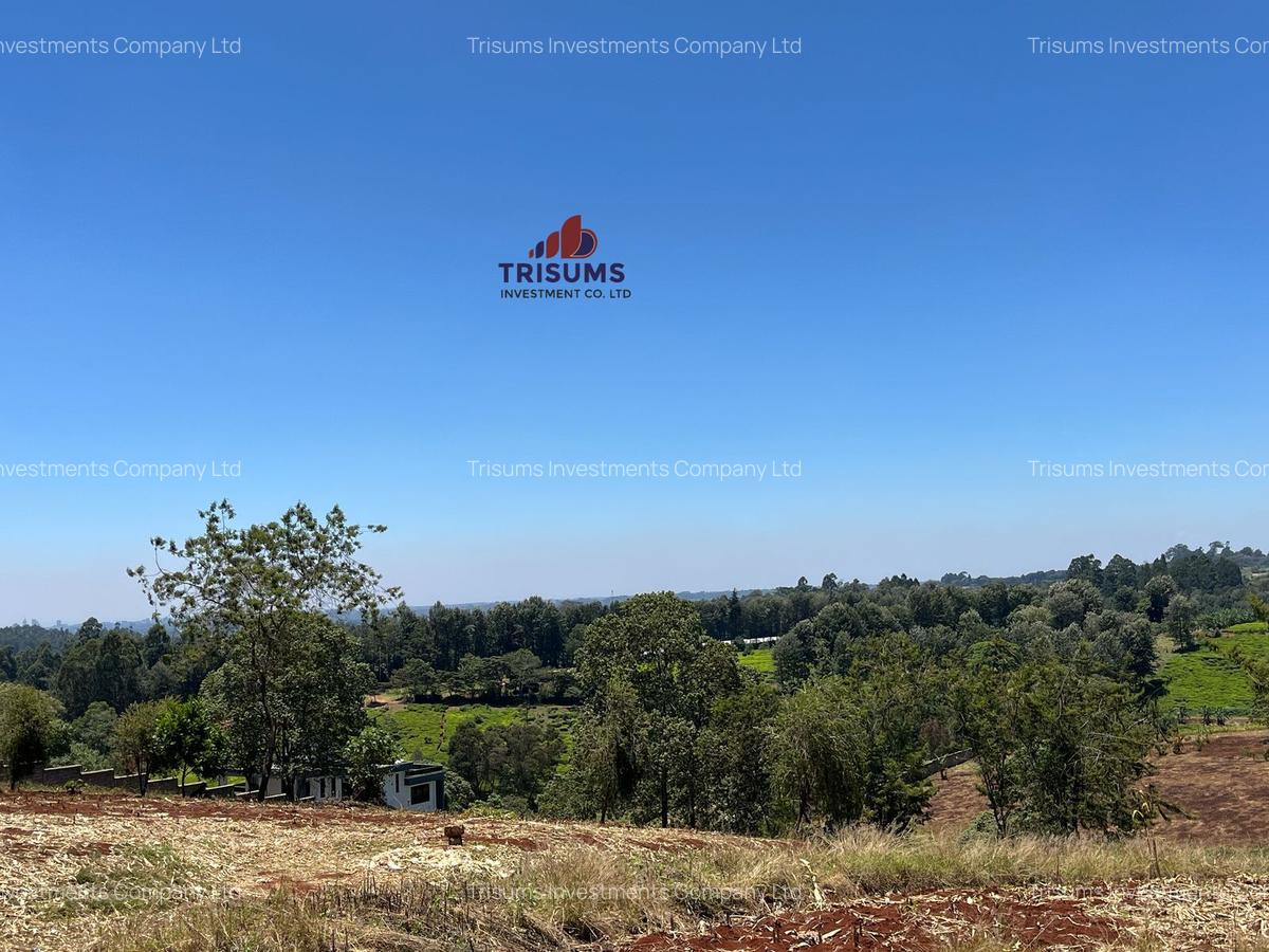 1.5 ac Land in Tigoni - 4