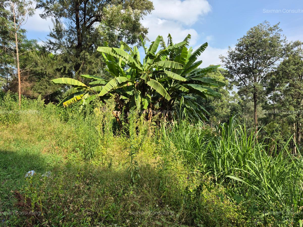 Land in Kitisuru - 11