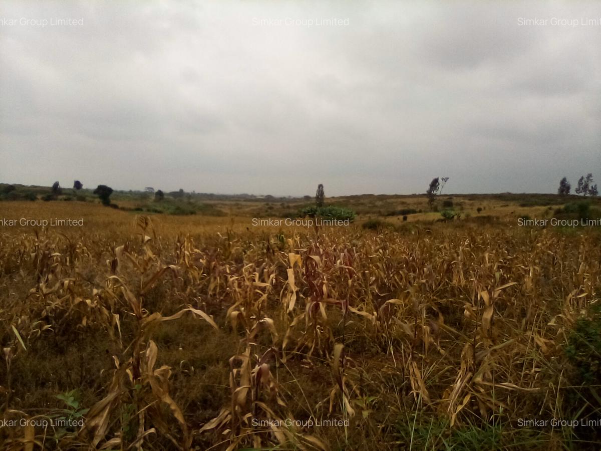 Land at Manira Trail - 12