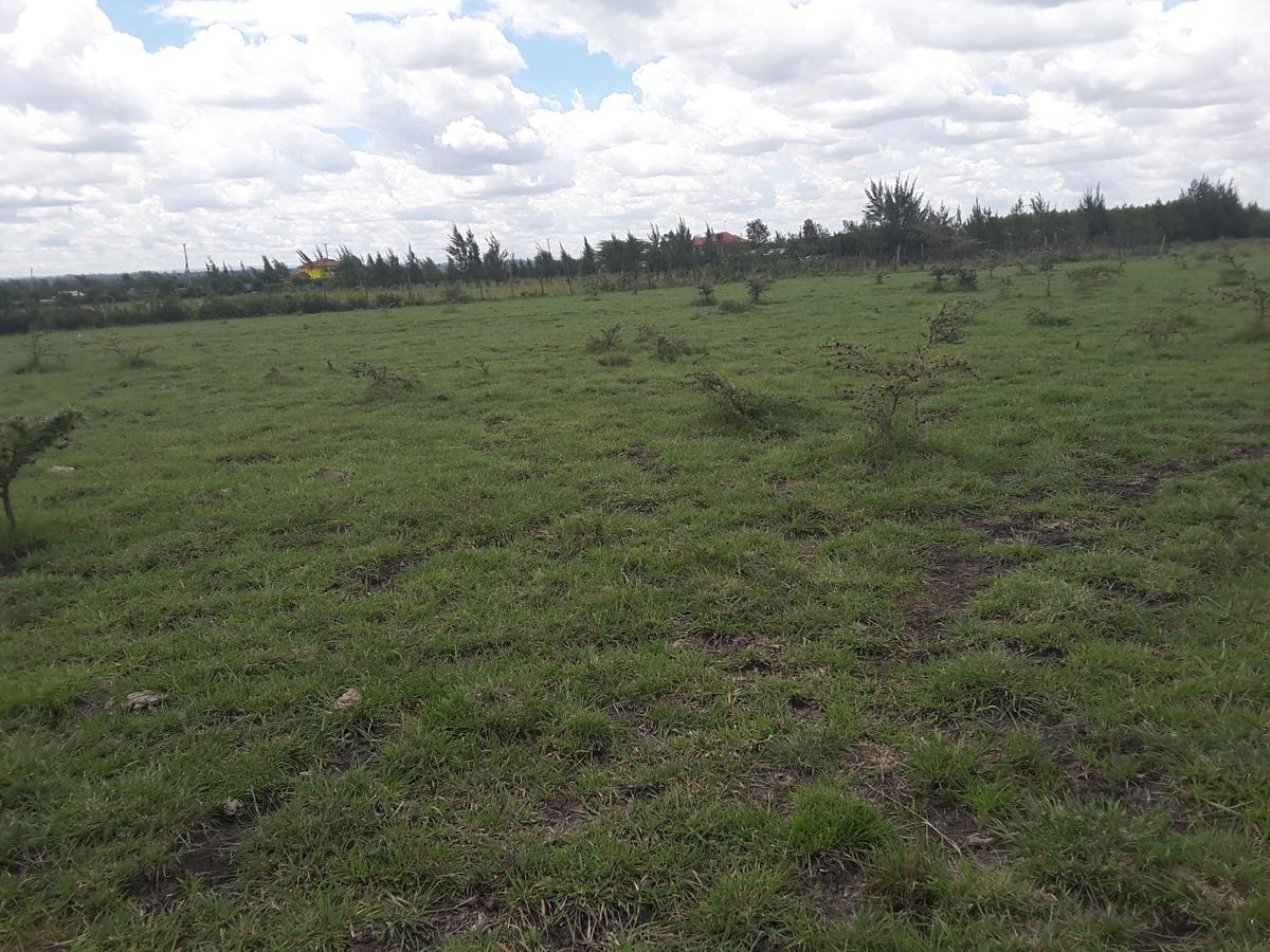 0.1 ha Residential Land in Ongata Rongai - 10