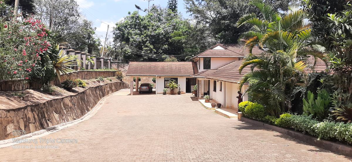 Commercial Property with Backup Generator in Lavington - 20