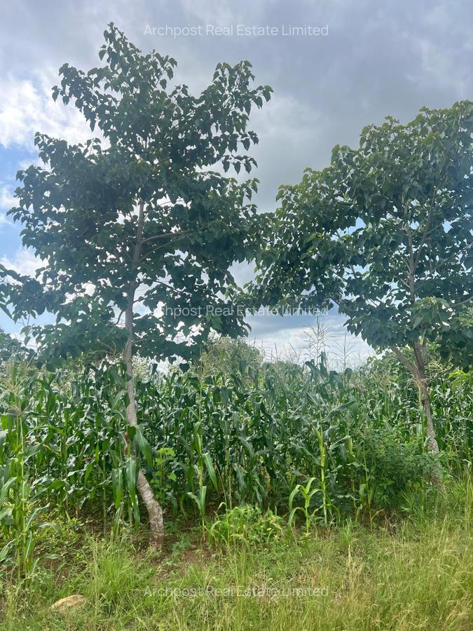 2 ac Land at Karingani - 9