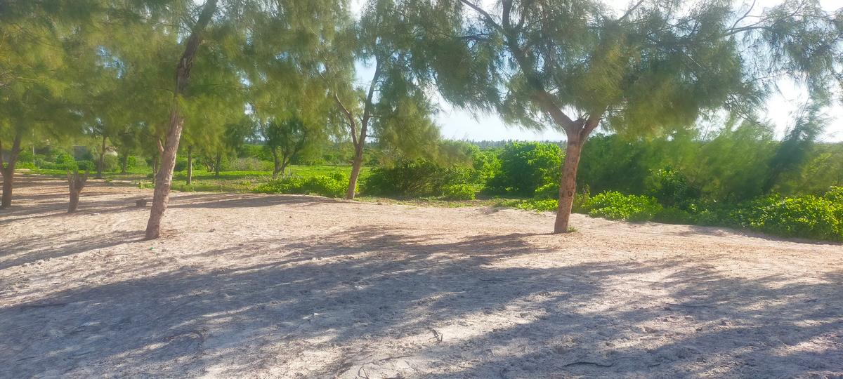 Land in Kilifi County - 16