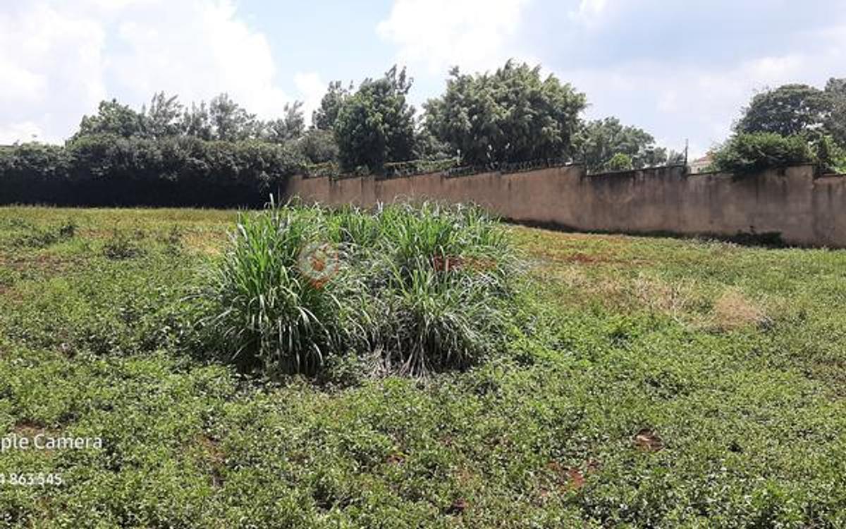 Residential Land at Runda Mumwe - 4