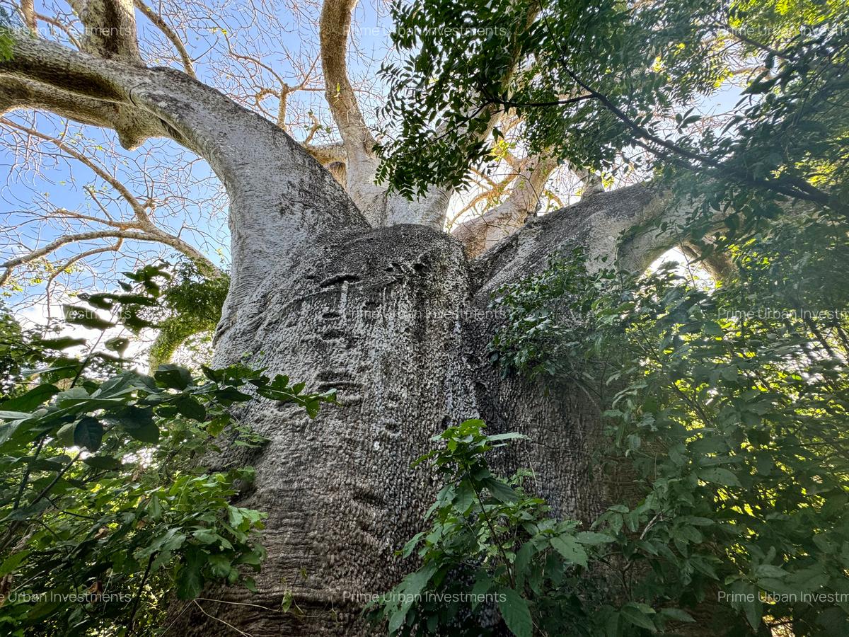 Land in Vipingo - 13