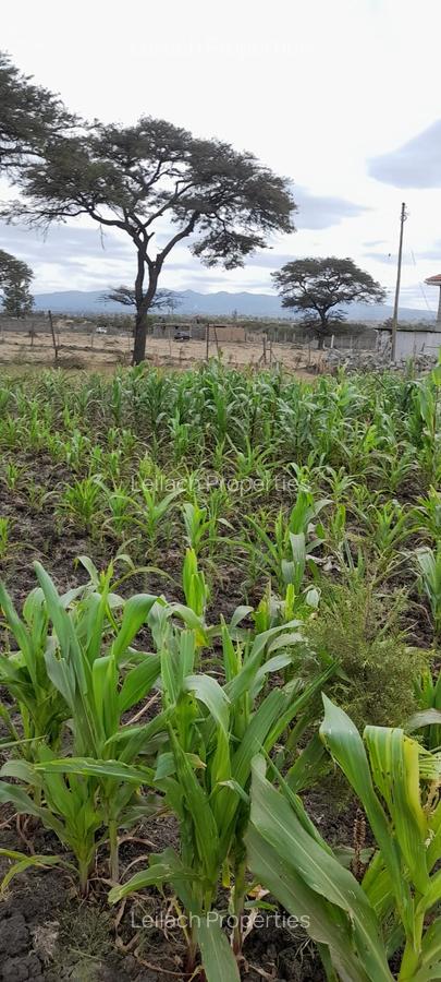 0.113 ac Residential Land in Ongata Rongai - 3