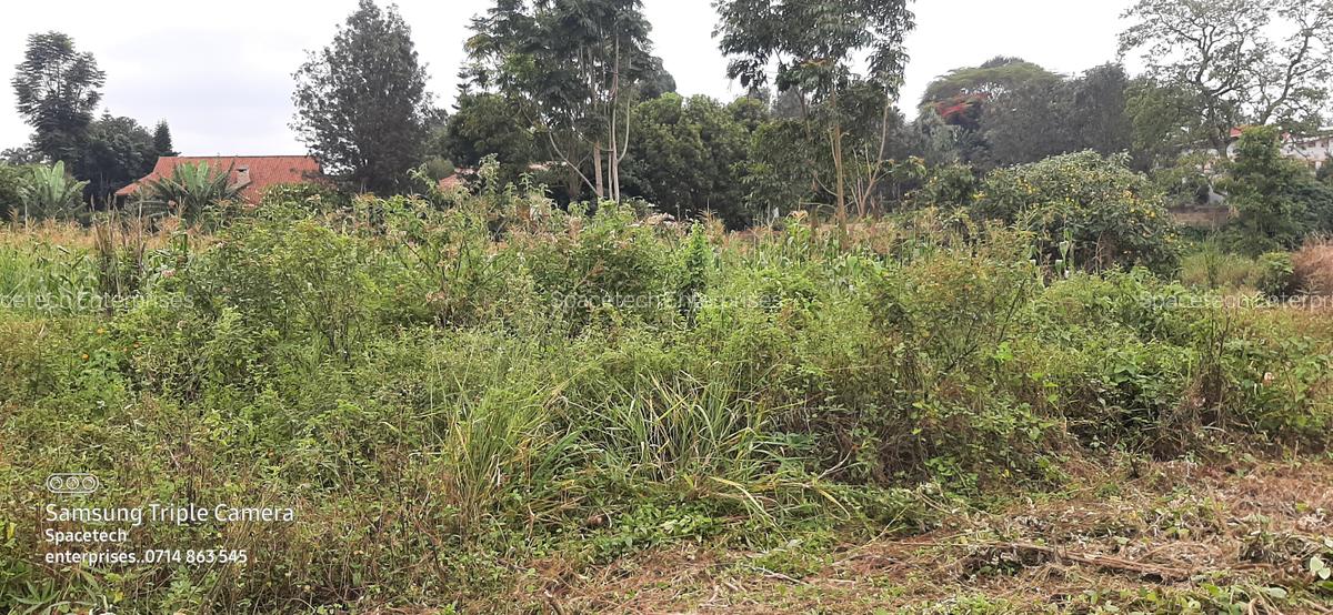 Commercial Property in Nyari - 7