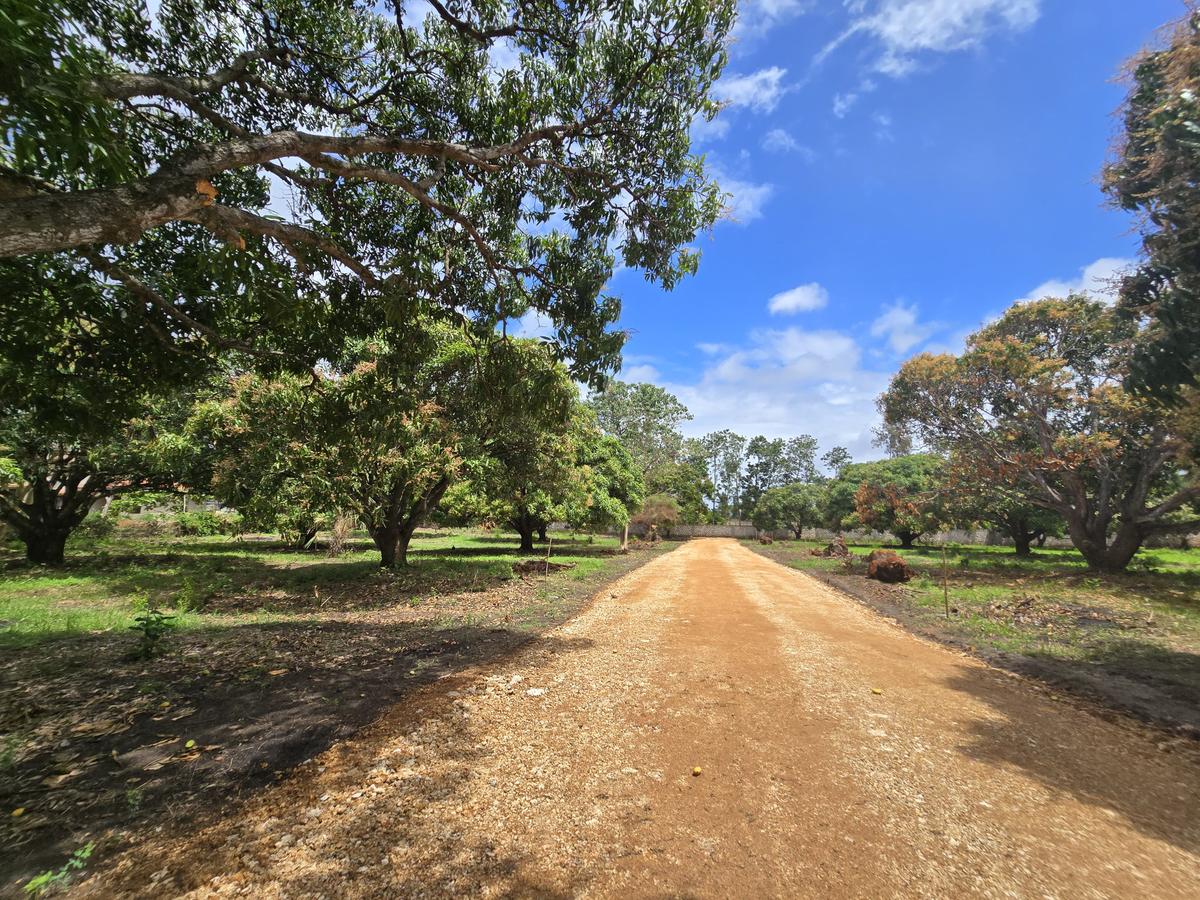 Land at Mombasa Malindi Highway - 10