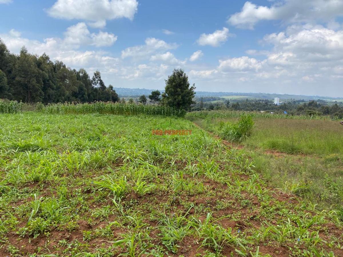 0.05 ha Residential Land in Kikuyu Town - 8