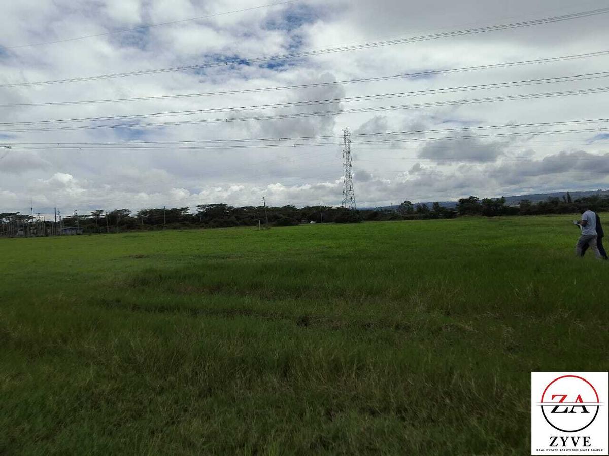 0.125 ac Land at Salgaa - 13