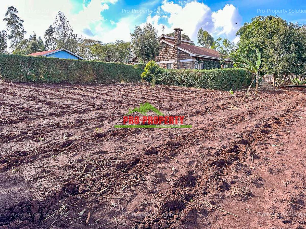 0.05 ha Residential Land at Riu Nderi - 5