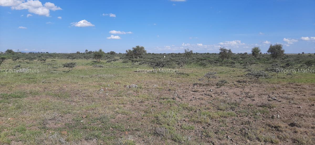 Residential Land at Leshaoo - 5