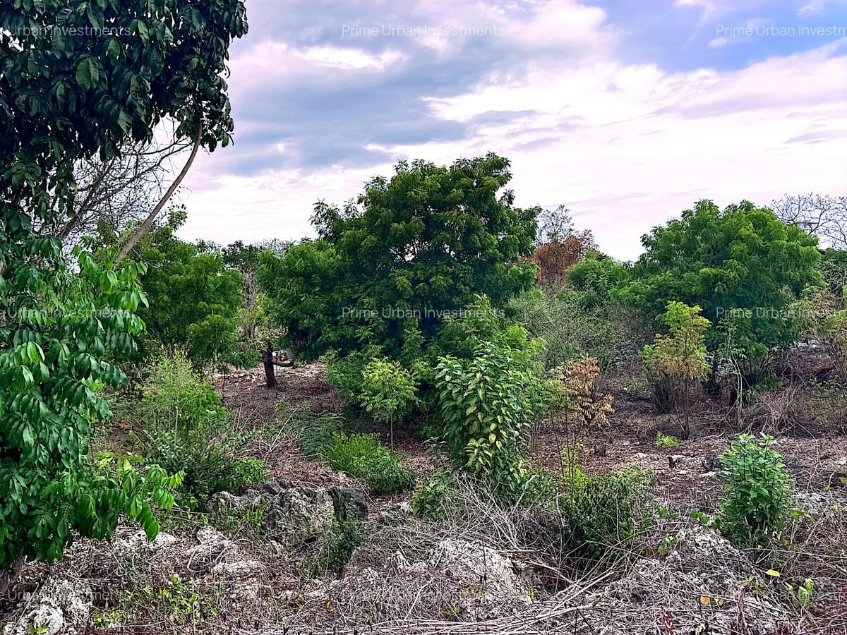 2,010 m² Residential Land at Second Row Kuruwitu Beach - 12